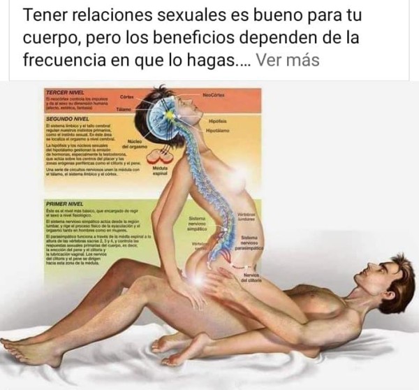 Naomy trigueña y coqueta chica disponible en salou