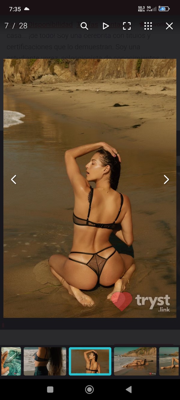 V.I.R.G.I.N.I.A. MADRILEÑA Y ESPAÑOLA EN MARBELLA