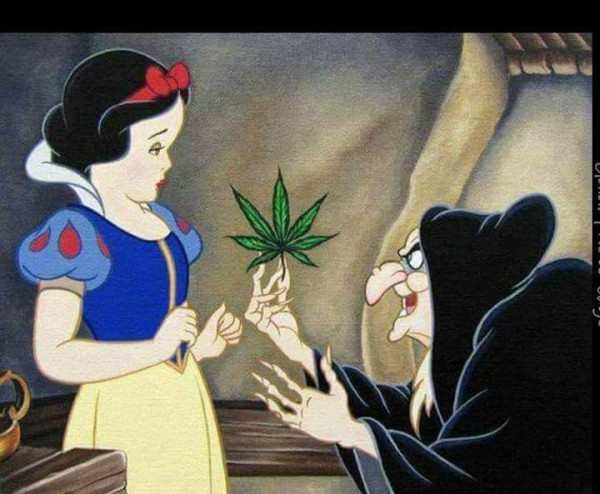 PELE BLANQUITA CON PECAS , CULAZO TRAGÓN FOTOS, 100% REALES