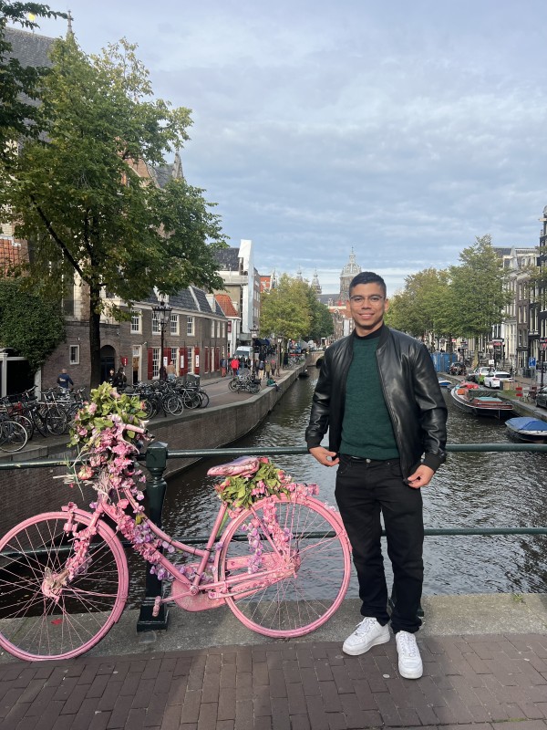 Chico de compañía solo salidas