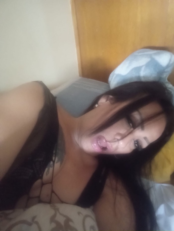 Trans. Divertida