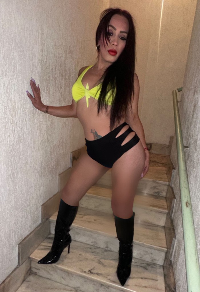 Trans. Divertida
