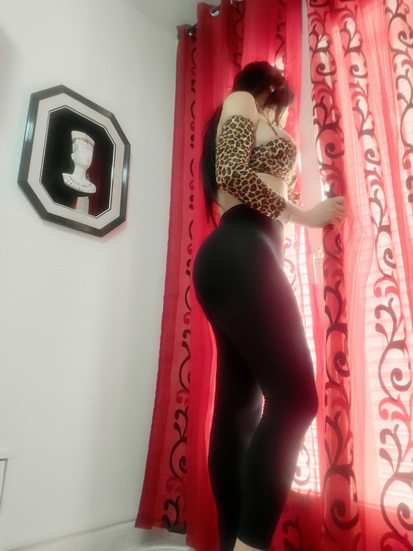 Recien llegada fiestera viciosa morvosa