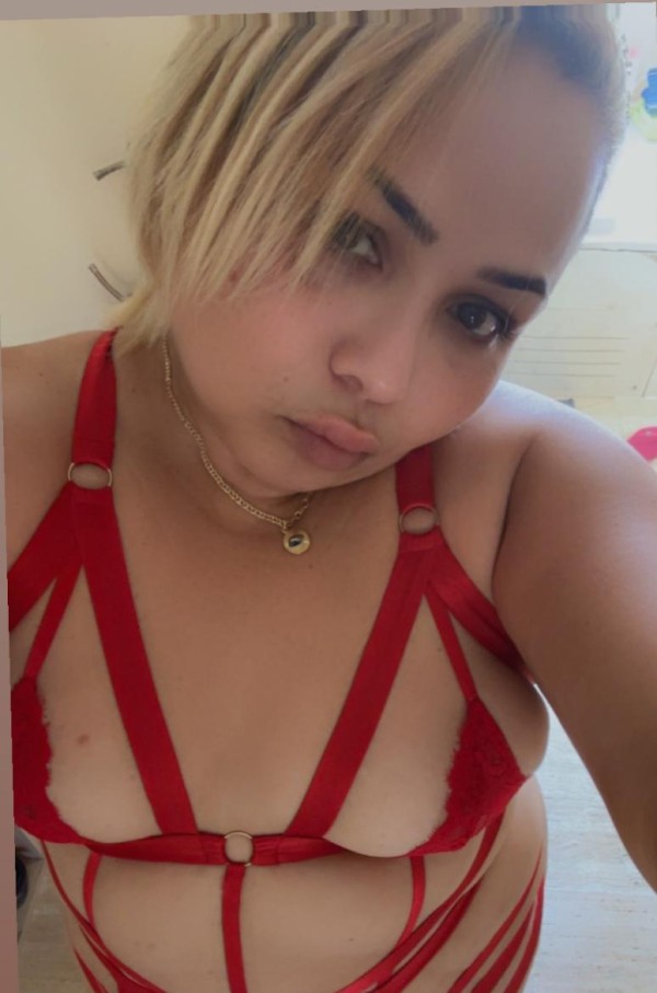 EXÓTICA CHICA CURVI