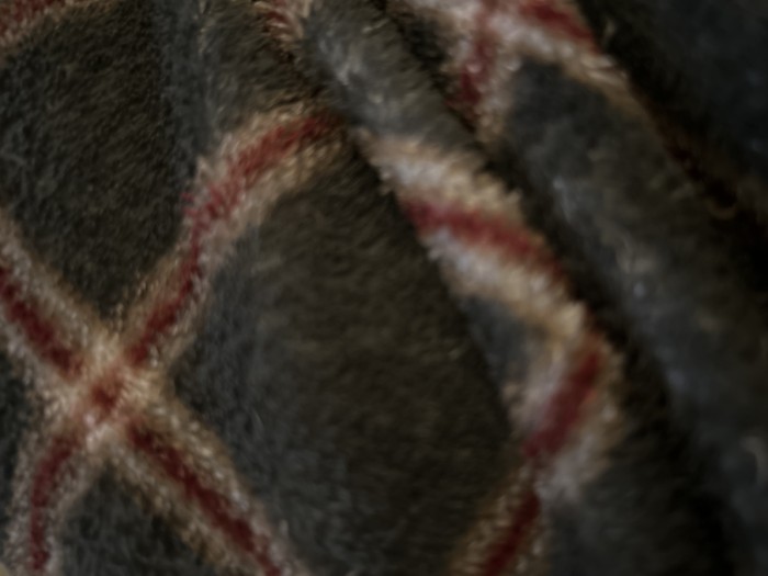 Gratifico por verte correr