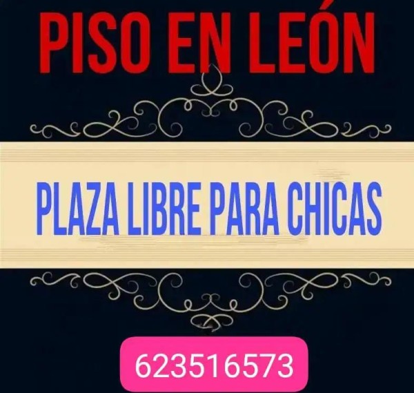 BUENA PLAZA EN LEÓN!! !!! PARA CHICA