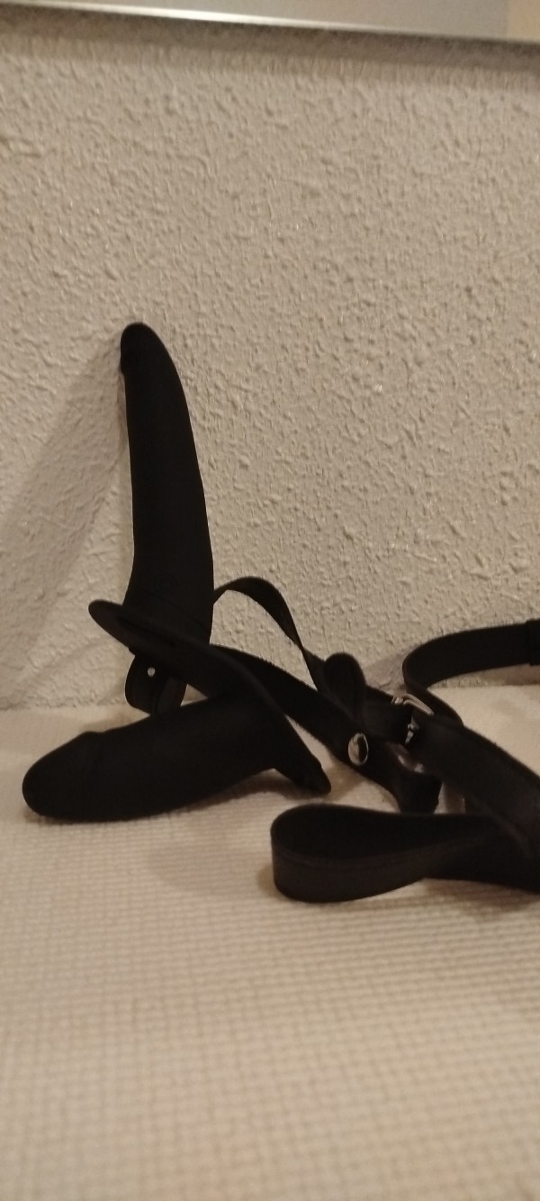 Domina para sesiones de Sado