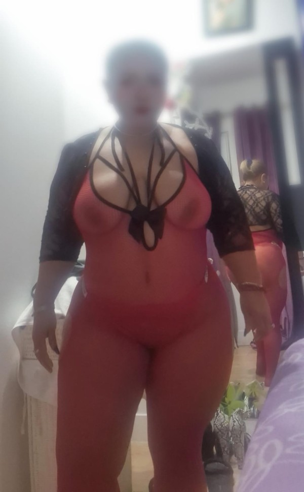 SEXO CERDO Y ECONÓMICO, PARTICULAR