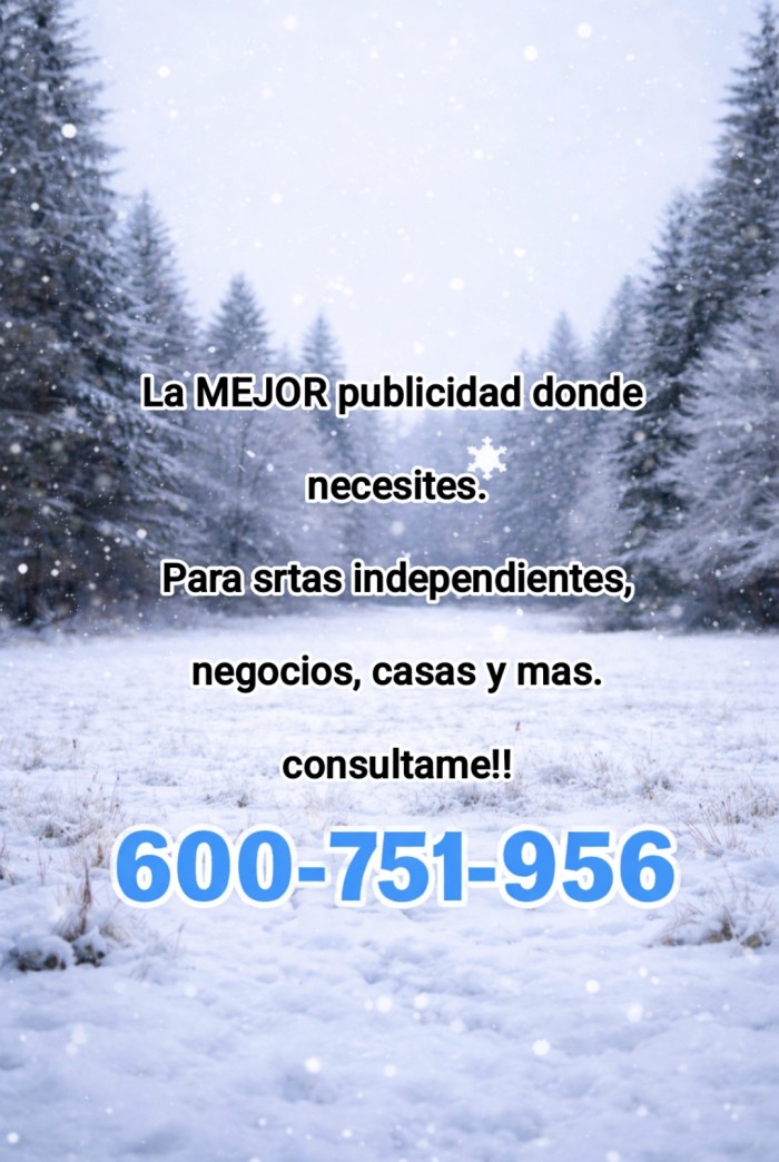 Publicista Especializada · Anuncios que Posicionan