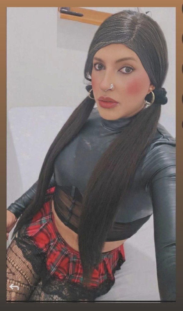 MIEMBRO DE CABALLO mulats versátil FIESTERA