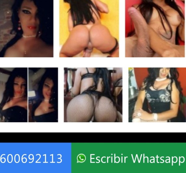 Muy Activa 50 eur Wapa  chupo Culito Estoy en AV PARALEL