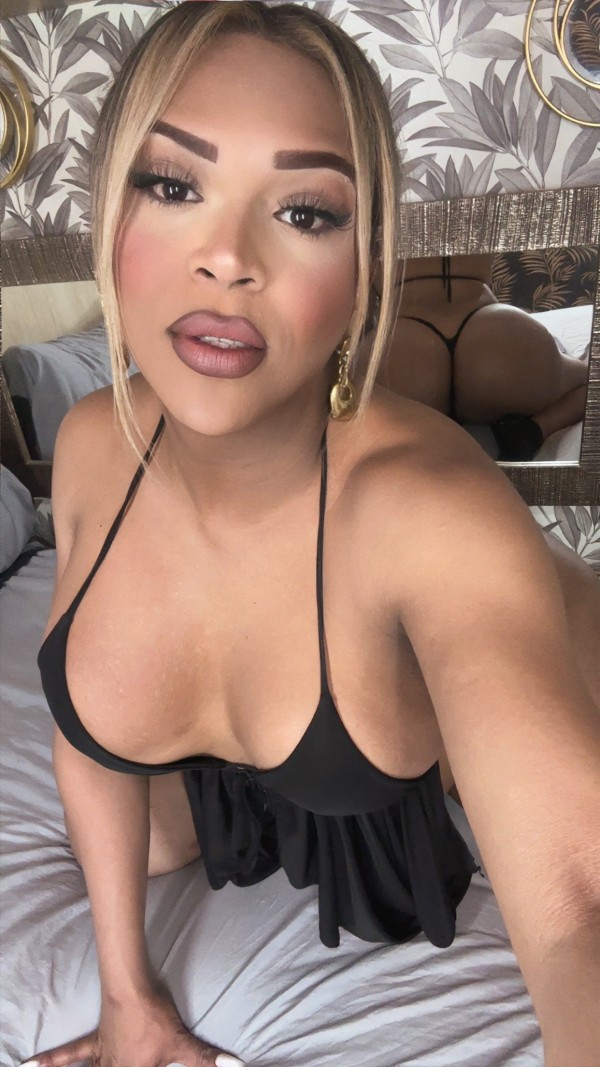 Espectacular mulata grandes pechos cerca de calle Manacor palma