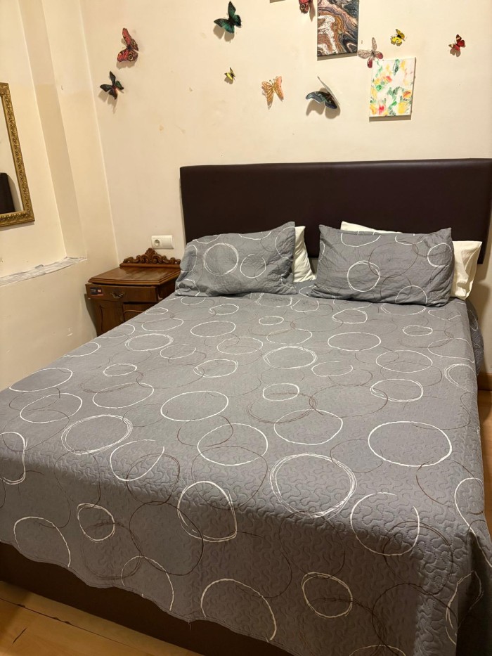 Alquilo habitación amplia para chicas