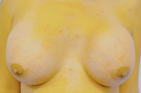 trans Jennifer versátil y Fiestera en Gijón