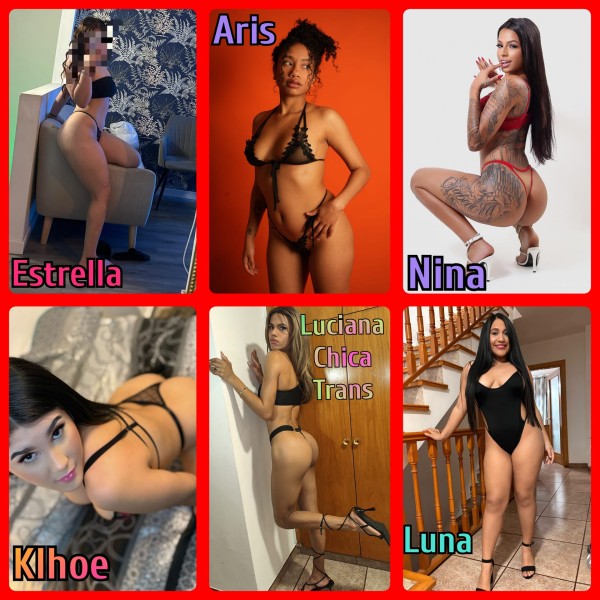 Chicas nueva en Girona