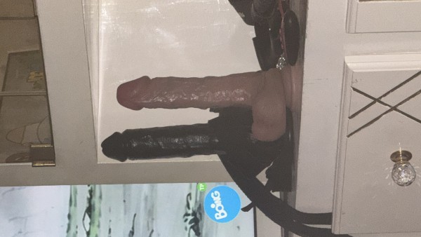 TU REINA LOBA FIESTERA EN TU CIUDAD