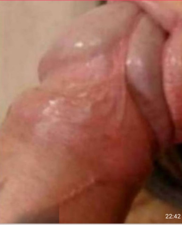 Victorianoveda festera 24h