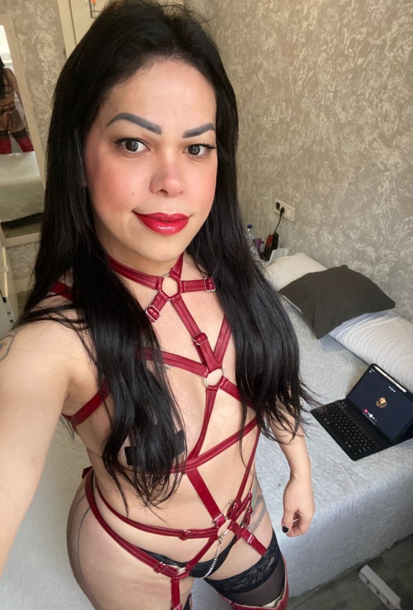 Novedad//trans activa y pasiva mi encantaría rompe tú culito