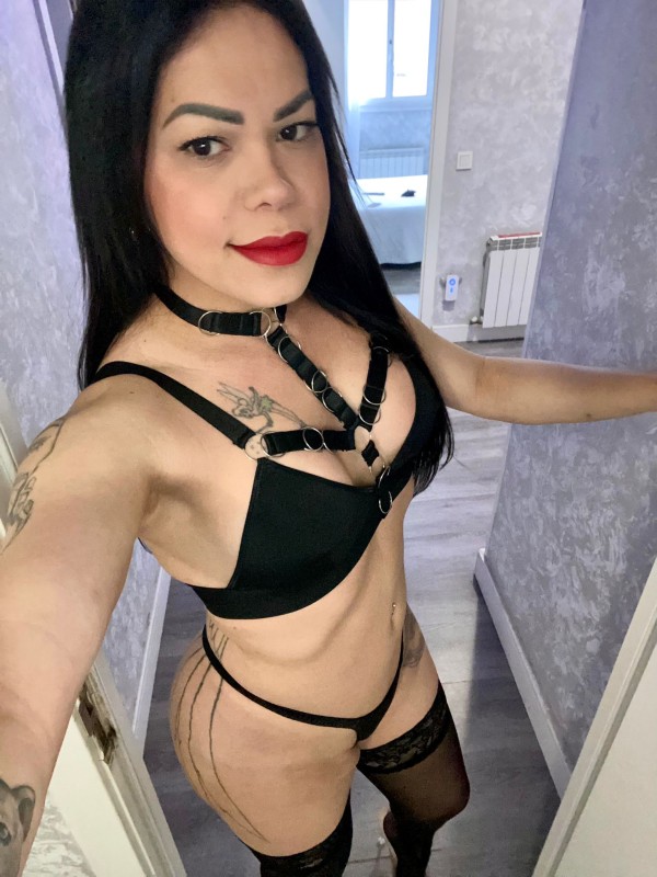 Novedad//trans activa y pasiva mi encantaría rompe tú culito