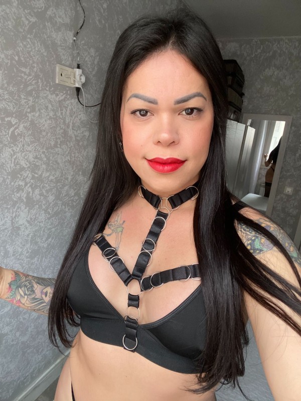 Novedad//trans activa y pasiva mi encantaría rompe tú culito