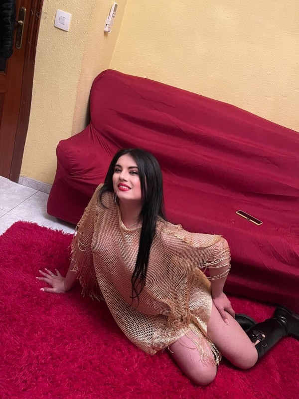 TRANS NOVEDAD COMPLETA