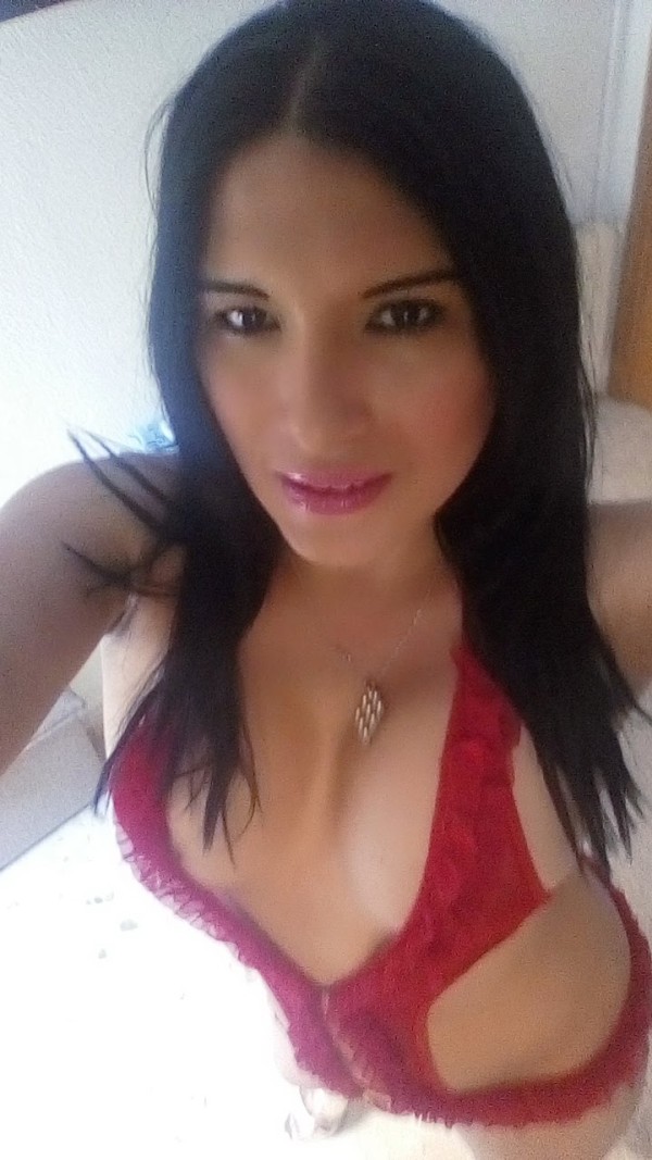 TRANS NOVEDAD COMPLETA
