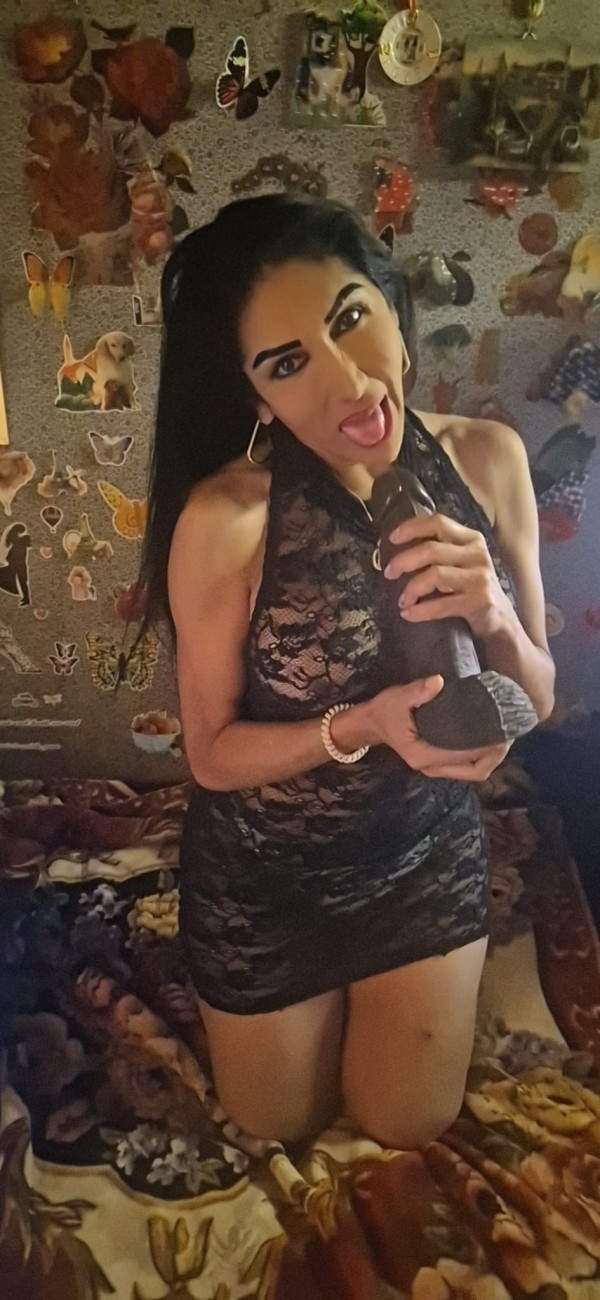 TRANSEXUAL CALIENTE FEMENINA VERSÁTIL NOVEDAD