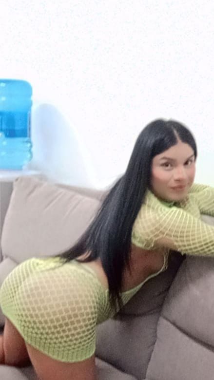 Trans latina