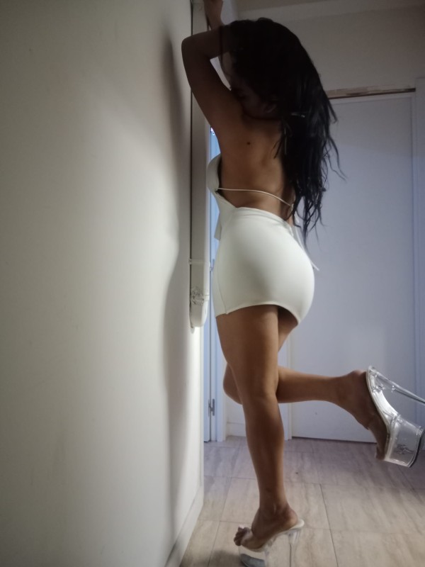 Trans latina