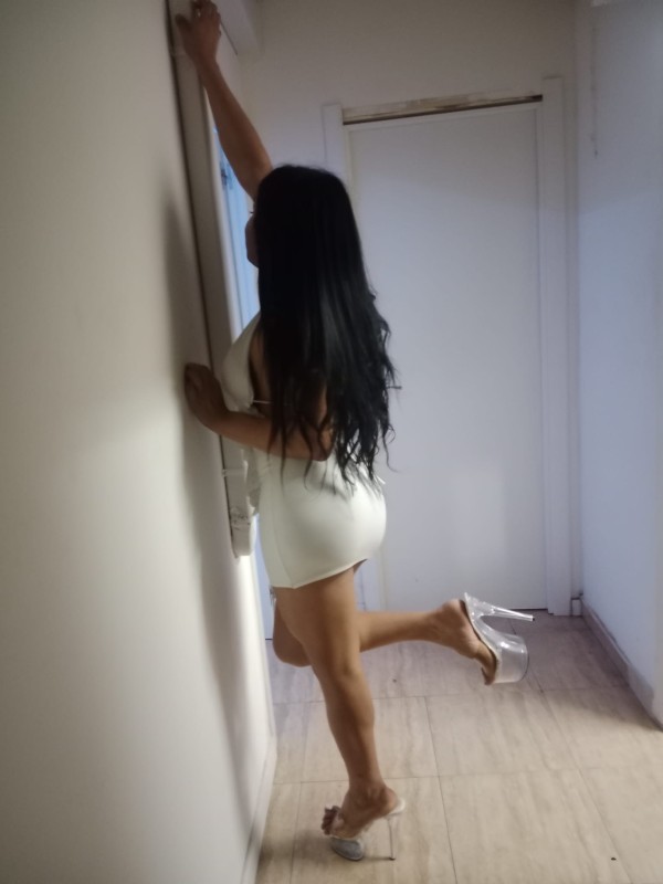 Trans latina