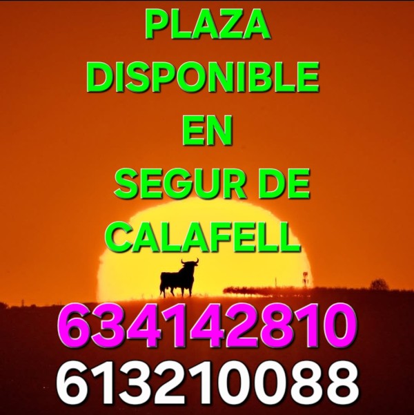 PLAZA A CHICAS DE 19 A 35 AÑOS INMEDIATA