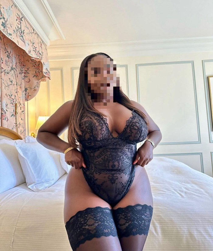 Novedad recién llegada