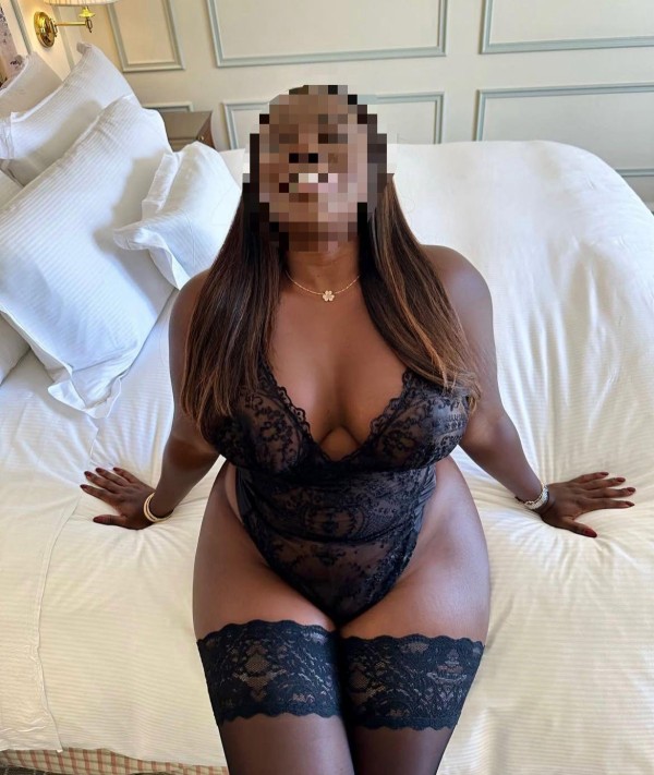 Novedad recién llegada