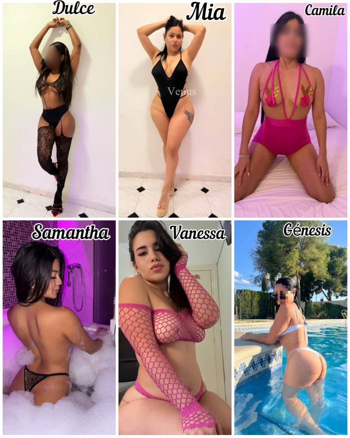 ZORRITAS FIESTERAS EN VILLARREAL