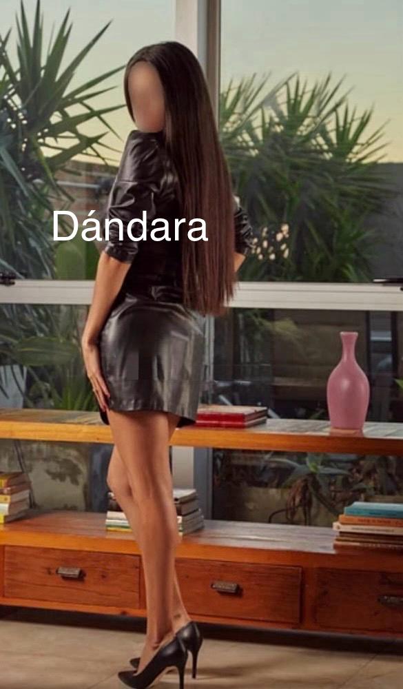 Novedad Dándara!!!