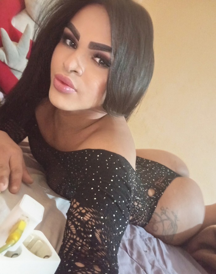 Trans cachonda fiestera