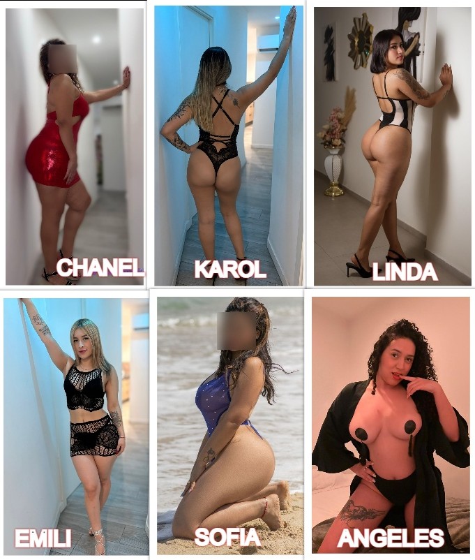 COÑOS RICOS Y MOJADITOS EN TORRENT