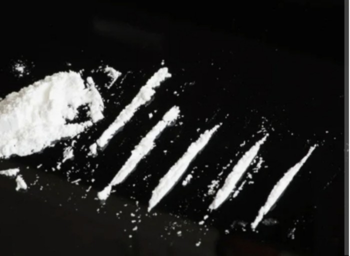 Pollón particular dotado discreto solo salidas