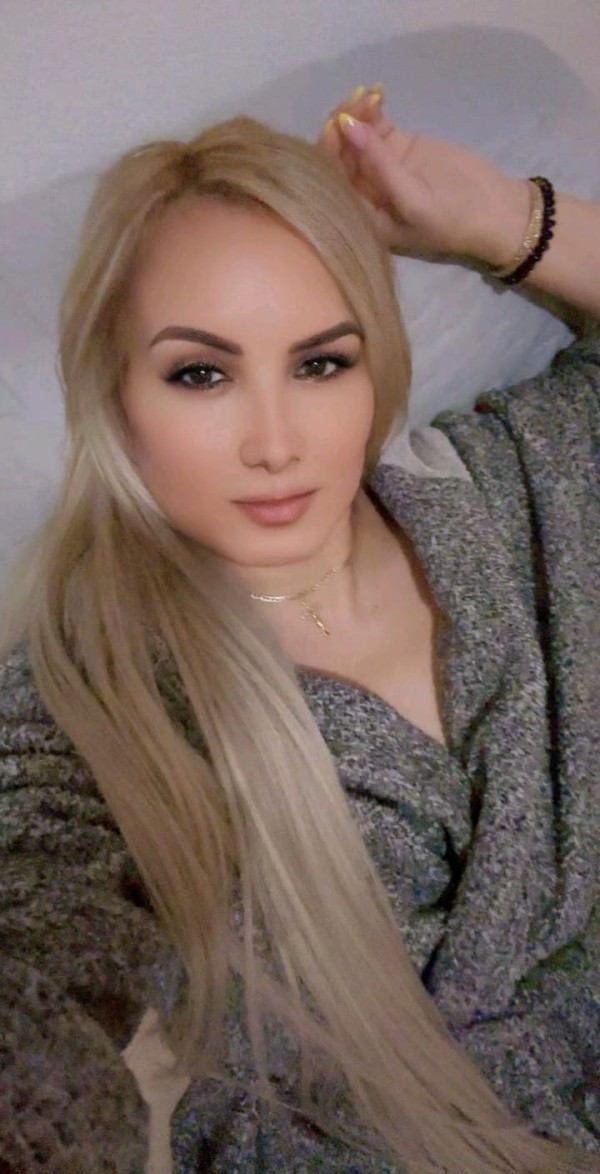 Novedad La gata salvaje en córdoba