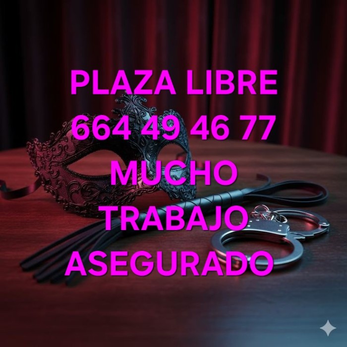 PLAZA LIBRE CON MUCHO TRABAJO DE LUJO