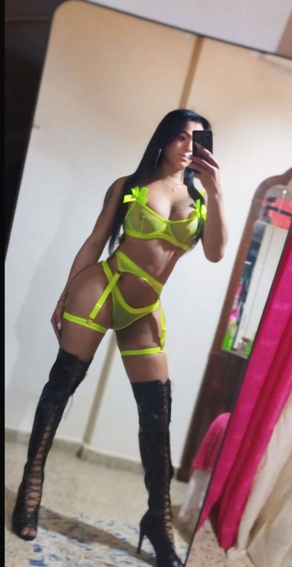 Trans latina REAL ÚLTIMOS DÍAS