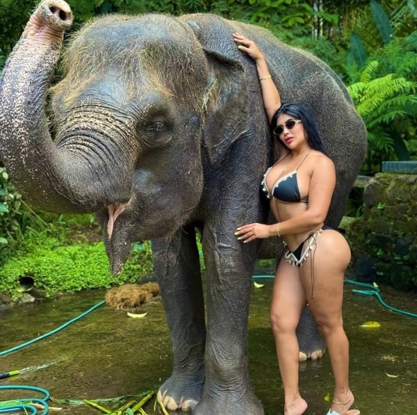 KATALINA DULCE Y TIERNA COLOMBIANA, NOVEDAD BURGOS