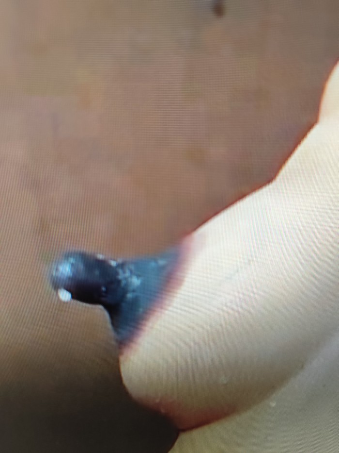 Maduro busca mujer lactante con pezones grandes