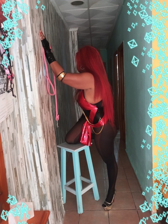 Tú reina complaciente