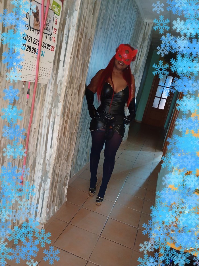 Tú reina complaciente