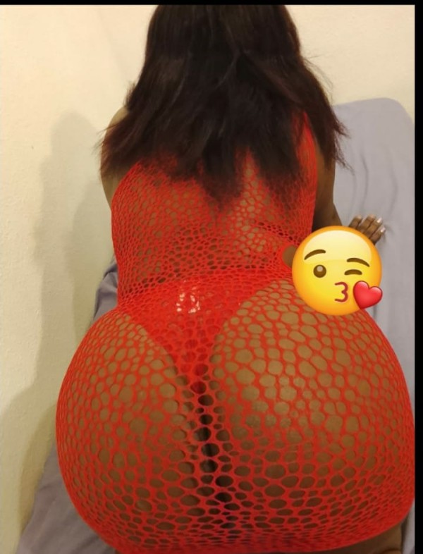 Coral mulata Colombiana