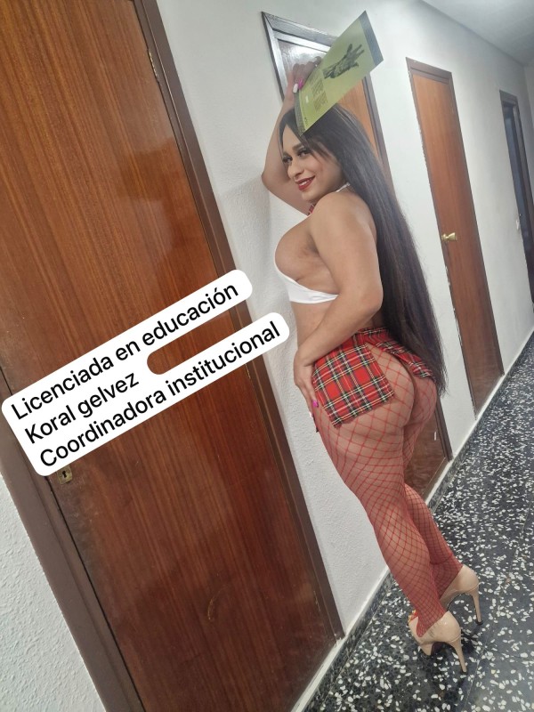 Koral real cerda