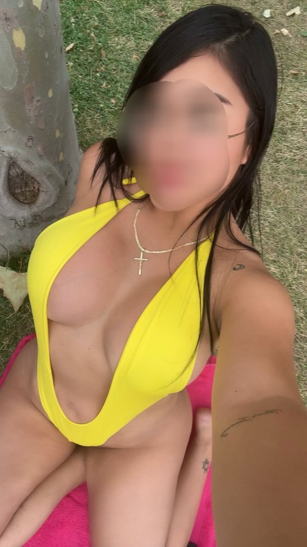 TU FIESTERA PERFECTA