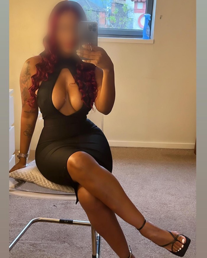 Perla, juguetona Novedad independiente