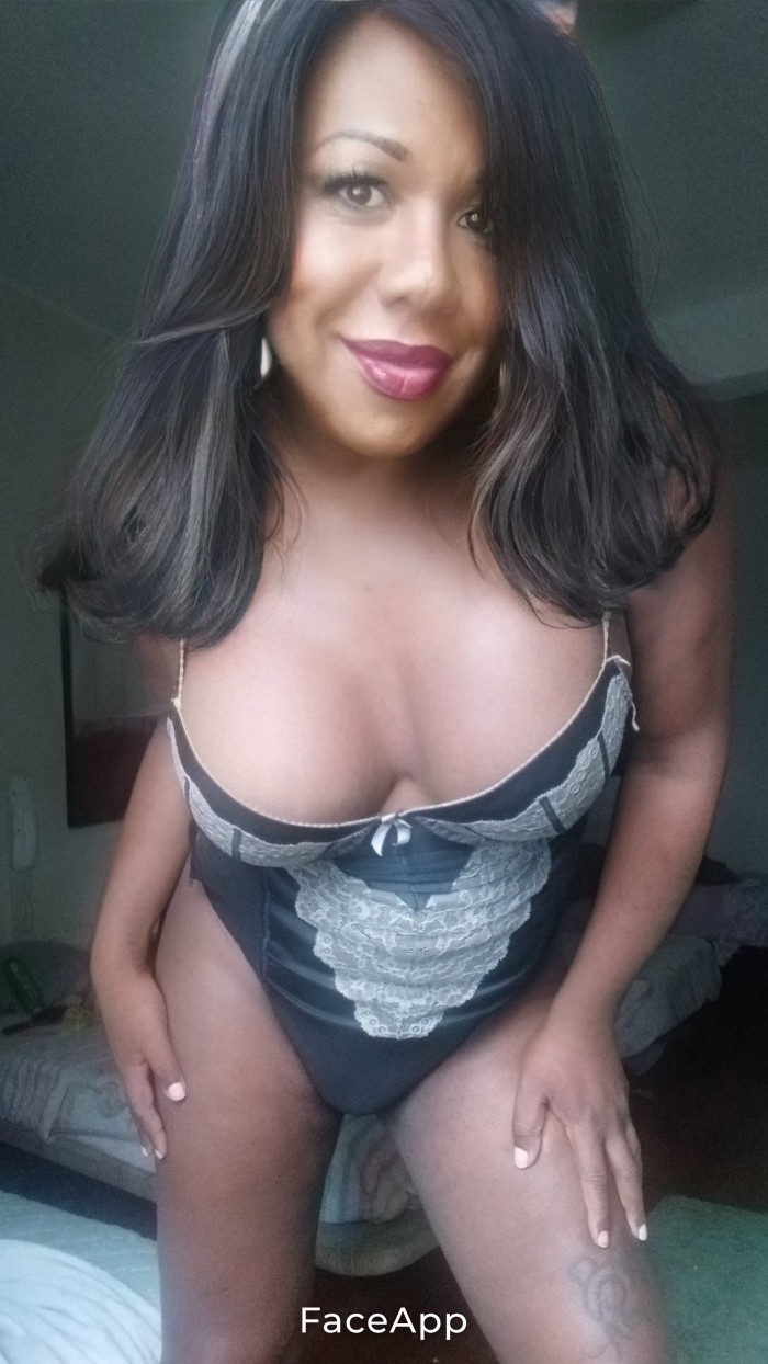 Trans nicol mulata fiestera dominante